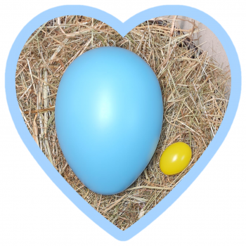 XXL-Osterei 24cm- hellblau