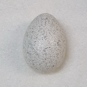 Osterei XL weiß; 18cm