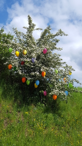 XXL-Osterei 24cm- hellblau