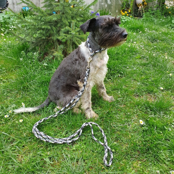 Handgefertigte Hundeleine in schwarz-grau und passendes Zug-Stopp-Halsband für kleine Hunde